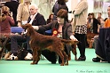 Crufts2011 894